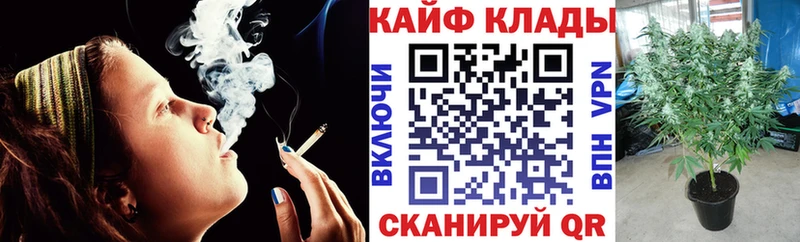Где купить наркотики Новый Уренгой Конопля  А ПВП  ГАШ 