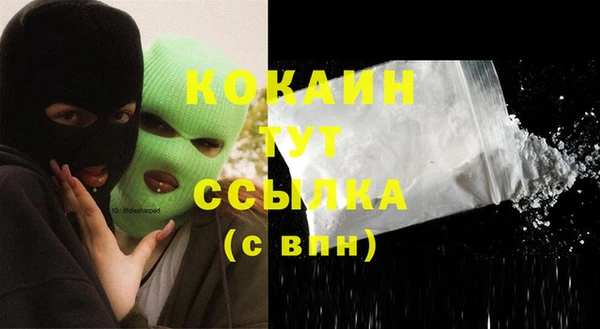 PSILOCYBIN Инта