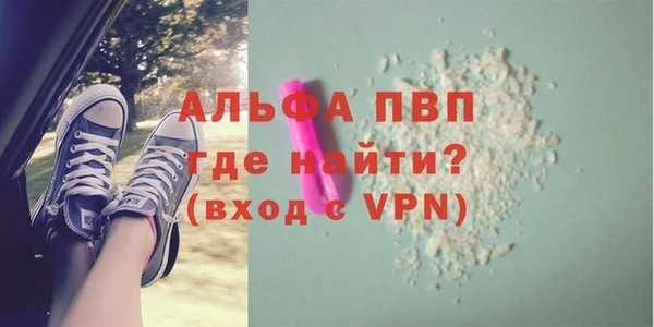 сатива Инсар