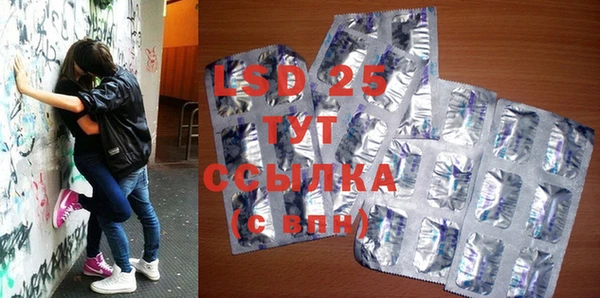сатива Инсар
