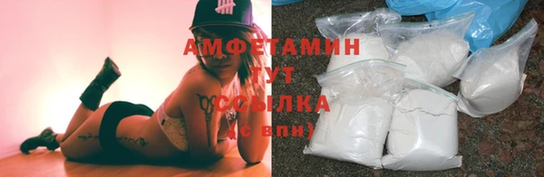 PSILOCYBIN Инта