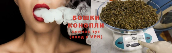 PSILOCYBIN Инта