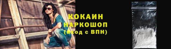 PSILOCYBIN Инта
