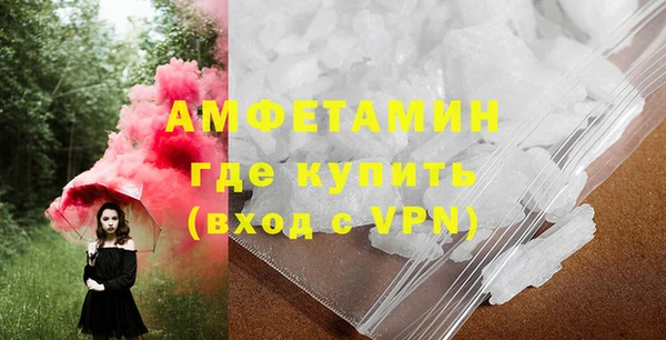 PSILOCYBIN Инта