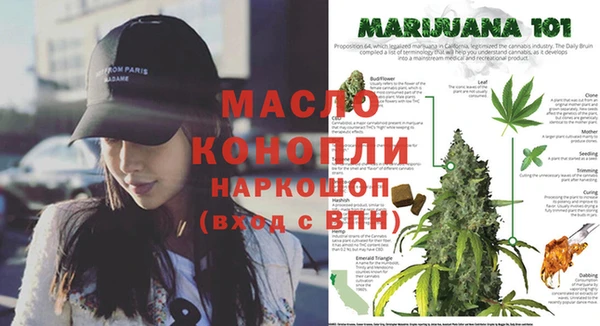 PSILOCYBIN Инта