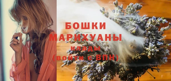 сатива Инсар