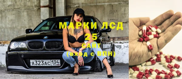 сатива Инсар