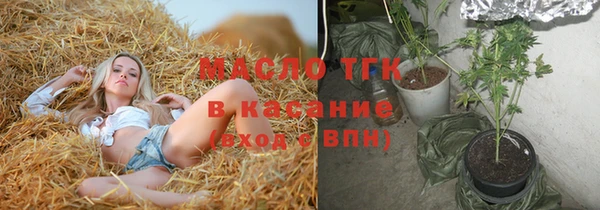 сатива Инсар