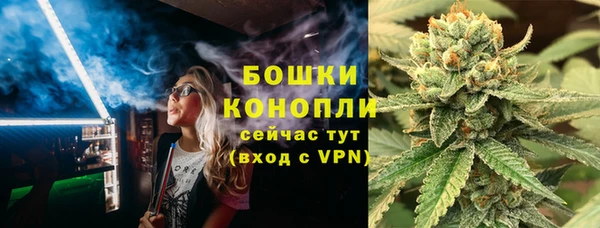 сатива Инсар