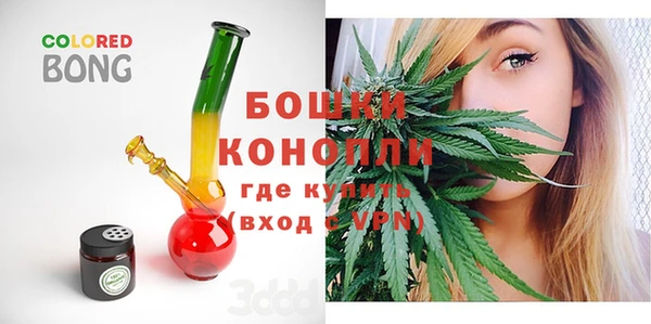 PSILOCYBIN Инта