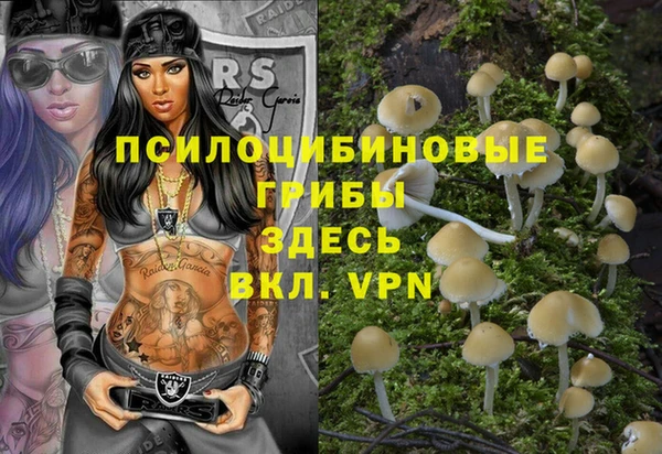 сатива Инсар