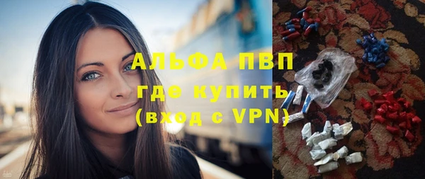 PSILOCYBIN Инта