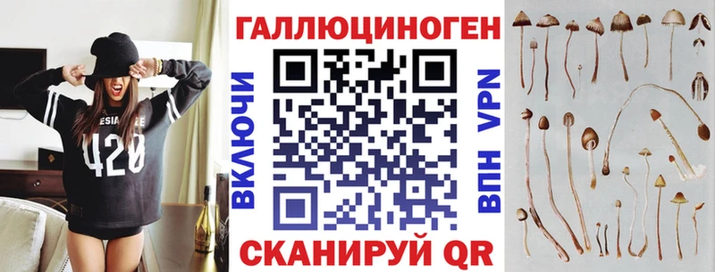 Псилоцибиновые грибы GOLDEN TEACHER  Новый Уренгой 